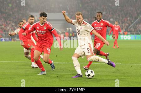 Munich, Deutschland. 06 novembre 2024. firo : 06.11.2024, football, soccer, Ligue des Champions, saison 2024/2025, 4ème journée FC Bayern Munich - Benfica Lisbon, Harry Kane, FC Bayern Munich, FCB, Munich, chiffre entier, crédit : dpa/Alamy Live News Banque D'Images