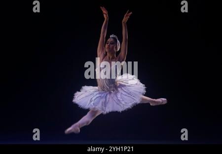 Mexico, Mexique. 08 novembre 2024. Des danseurs répètent un fragment de l'œuvre Swan Lake au Palais des Beaux-Arts de Mexico, le 8 novembre 2024. La version chorégraphique est de Cuauhtemoc Najera, basée sur les originaux de Marius Petipa et Lev Ivanov. (Photo de Gerardo Vieyra/NurPhoto)0 crédit : NurPhoto SRL/Alamy Live News Banque D'Images