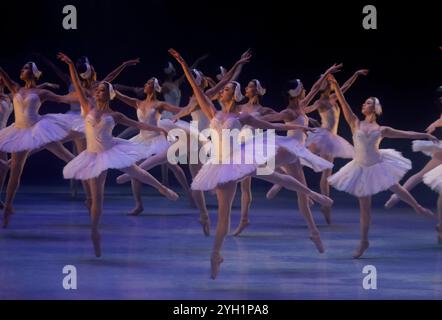 Mexico, Mexique. 08 novembre 2024. Des danseurs répètent un fragment de l'œuvre Swan Lake au Palais des Beaux-Arts de Mexico, le 8 novembre 2024. La version chorégraphique est de Cuauhtemoc Najera, basée sur les originaux de Marius Petipa et Lev Ivanov. (Photo de Gerardo Vieyra/NurPhoto)0 crédit : NurPhoto SRL/Alamy Live News Banque D'Images