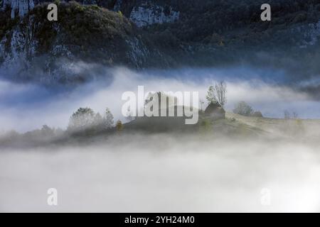 Tôt matin brumeux surpris sur une campagne roumaine en automne. Photo prise le 13 octobre 2024 à Dumesti, région Transylvanie, Roumanie. Banque D'Images
