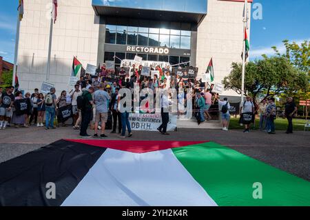 Logroño, la Rioja, Espagne, 17 juin 2024.des manifestants brandissent des drapeaux palestiniens lors d’une manifestation contre le conflit de Gaza devant le Rectorat de l’Université de la Rioja, Banque D'Images