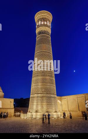 Vue nocturne du minaret Kalan du complexe po-i-Kalan, Boukhara Banque D'Images