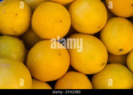 Un assortiment coloré de citrons frais est soigneusement empilé, mettant en valeur leur teinte jaune vif. Les citrons semblent juteux et mûrs, reflétant les s lumineux Banque D'Images