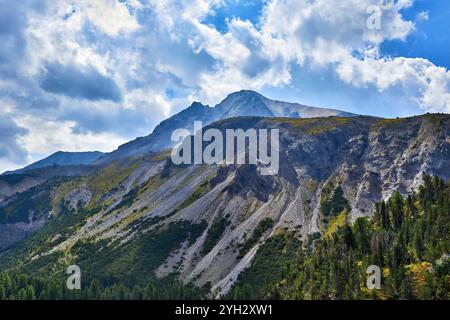 Vue paysage des montagnes depuis l'Ofenpass en Suisse. Banque D'Images
