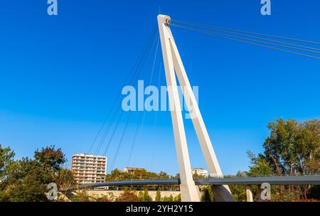 La passerelle Robert Poujade reliant l'île de Ramier et traversant la Garonne à Toulouse, haute Garonne, Occitanie, en France Banque D'Images