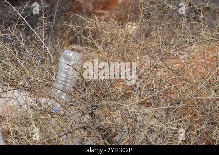 Une bouteille en plastique jetée d'une voiture dans les buissons au bord de la route provoque la pollution de l'environnement. Banque D'Images