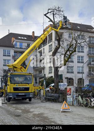 Travail des arbres, Koeniginstrasse, Munich, Bavière, Allemagne, Europe Banque D'Images