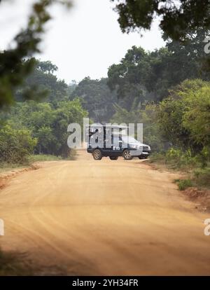 Safari jeep sur une piste sablonneuse dans le parc Yala Natioal, Province du Sud, Sri Lanka, Asie Banque D'Images