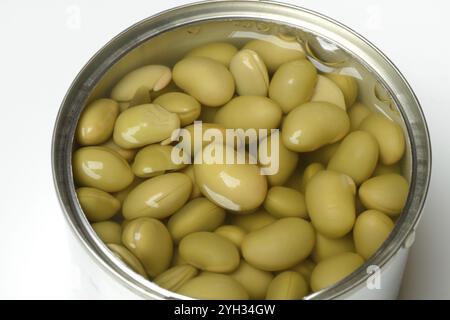 Edamame, fèves de soja non mûres dans des boîtes, en conserve Banque D'Images