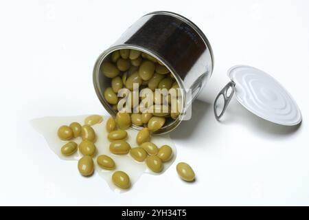 Edamame, fèves de soja non mûres dans des boîtes, en conserve Banque D'Images