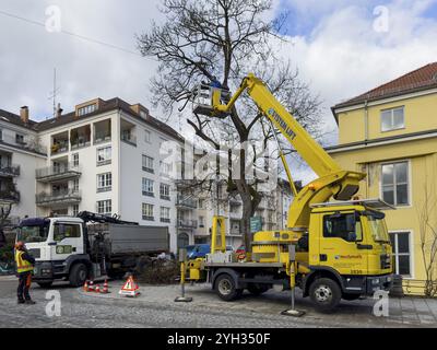 Travail des arbres, Koeniginstrasse, Munich, Bavière, Allemagne, Europe Banque D'Images