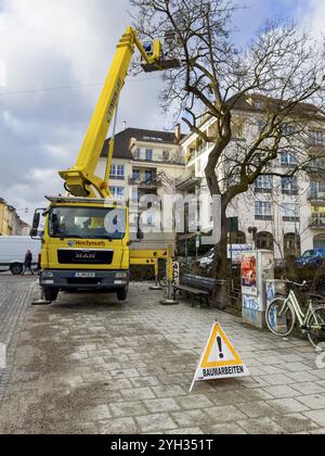 Travail des arbres, Koeniginstrasse, Munich, Bavière, Allemagne, Europe Banque D'Images
