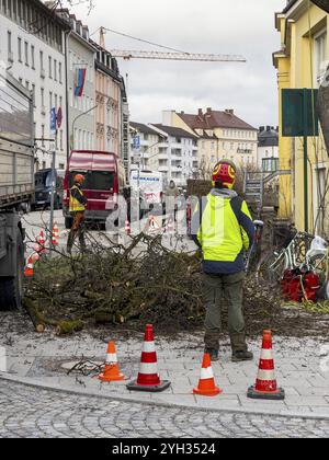 Travail des arbres, Koeniginstrasse, Munich, Bavière, Allemagne, Europe Banque D'Images