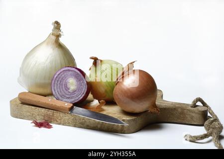Divers oignons sur planche de bois avec couteau, oignon, Allium cepa Banque D'Images