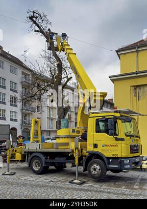 Travail des arbres, Koeniginstrasse, Munich, Bavière, Allemagne, Europe Banque D'Images
