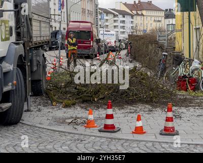 Travail des arbres, Koeniginstrasse, Munich, Bavière, Allemagne, Europe Banque D'Images