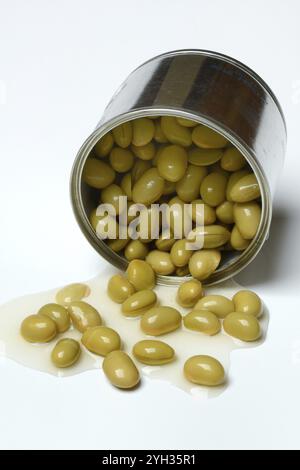 Edamame, fèves de soja non mûres dans des boîtes, en conserve Banque D'Images
