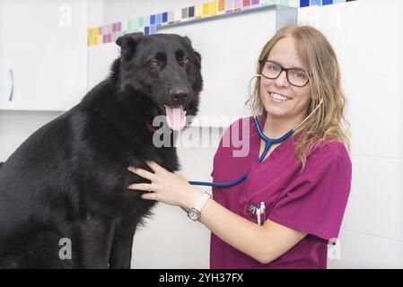 Femme médecin vétérinaire à l'aide de stéthoscope pour examen chien mignon Banque D'Images