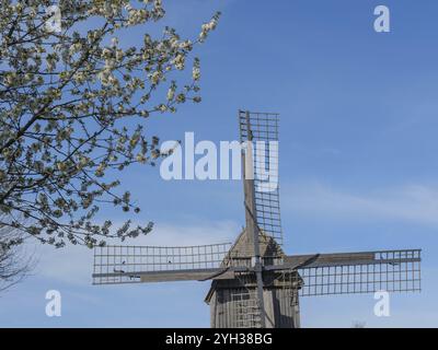 Un moulin à vent à côté d'un arbre en fleurs devant un ciel bleu vif, weseke, westphalie, allemagne Banque D'Images