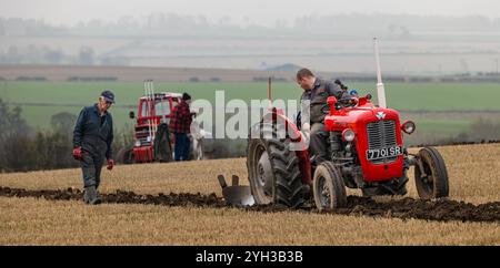 East Lothian, Écosse, Royaume-Uni, 9 novembre 2024. 41e match annuel de labour des tracteurs : L'événement annuel de l'East Lothian Ploughing associations réunit les propriétaires de plus de 60 tracteurs d'époque - étonnamment peu d'agriculteurs - en compétition pour les sillons les plus droits de l'East main Farm cette année à Samuelston. Chaque patch est jugé et il ne devrait pas être possible d'identifier les passages individuels des lames dans la bande. Photo : tracteur Massey Ferguson d'époque qui laboure des sillons. Crédit : Sally Anderson/Alamy Live News Banque D'Images