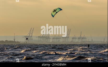 Île de Sobiszewska, POLOGNE-02 SEPTEMBRE 2024 : coucher de soleil paisible par la mer dans la soirée d'été, avec voleur de cerf-volant solitaire contre les grues de distat du port, Gdansk, Banque D'Images