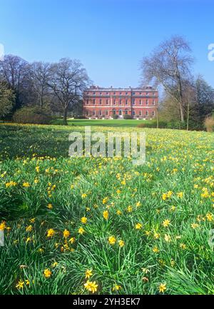 Clandon House au printemps, avec un champ de tulipes jaunes luxuriantes, vu du droit d'accès public West Clandon Surrey UK Banque D'Images