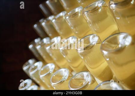 Plan de fond de bouteilles en verre remplies de cidre de pomme en maturation retournées pour déposer les sédiments naturels dans une cave fraîche, espace de copie Banque D'Images