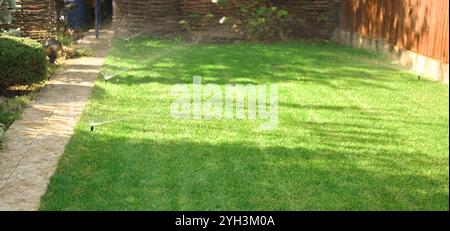 arroseur automatique arrosant la pelouse verte luxuriante Banque D'Images