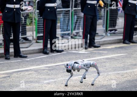 Londres, Royaume-Uni. 9 novembre 2024. Chien robotique dans le Lord Mayor's Show, la plus ancienne et la plus grandiose procession civique du monde datant du début du XIIIe siècle, lorsque le roi John a accordé que la ville de Londres pouvait nommer son propre maire. Cette année, Alastair King DL, nouvellement élu, est le 696e lord maire de la ville de Londres et, pendant le Lord Mayor’s Show, fait son chemin de la ville à Westminster lointain pour jurer loyauté envers la Couronne. Credit : Stephen Chung / Alamy Live News Banque D'Images