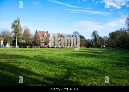 Maisons individuelles et jumelées avec des champs verdoyants à la campagne à Grimbergen, Brabant flamand, Belgique Banque D'Images