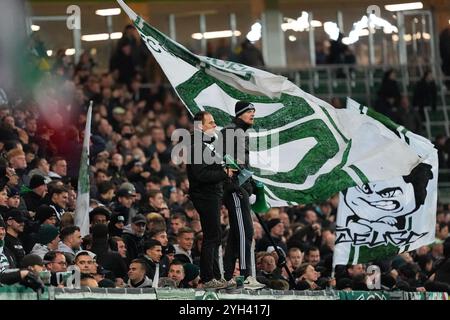 GRONINGEN, 09-11-2024, stade Euroborg, saison 2024/2025, match de football néerlandais Eredivisie entre le FC Groningen et le Sparta. Fans du FC Groningen crédit : Pro Shots/Alamy Live News Banque D'Images