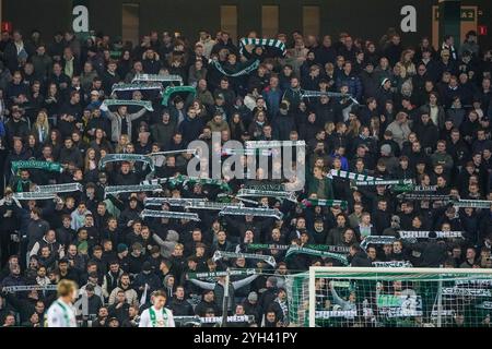 Groningen, pays-Bas. 09 novembre 2024. GRONINGEN, PAYS-BAS - 9 NOVEMBRE : les fans et les supporters du FC Groningen encouragent leur équipe avec des foulards lors d'un match Néerlandais Eredivisie entre le FC Groningen et le Sparta Rotterdam à Euroborg le 9 novembre 2024 à Groningen, pays-Bas. (Photo par Andre Weening/Orange Pictures) crédit : Orange pics BV/Alamy Live News Banque D'Images