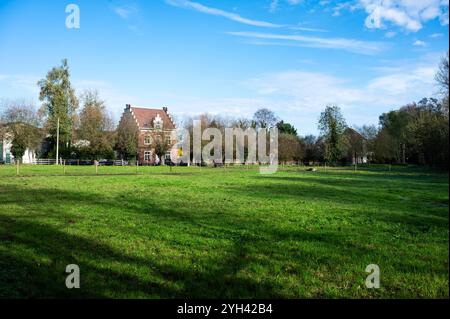 Maisons individuelles et jumelées avec des champs verdoyants à la campagne à Grimbergen, Brabant flamand, Belgique Banque D'Images