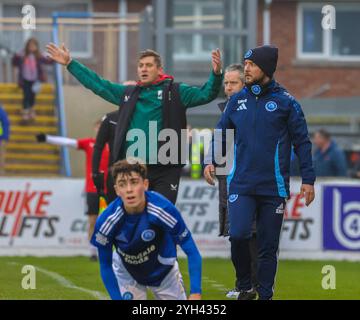 Mourneview Park, Lurgan, County Armagh, Irlande du Nord, Royaume-Uni. 09 novembre 2024. Sports Direct Premiership – Glenavon v Glentoran. Action du match d'aujourd'hui au parc Mourneview (Glenavon en bleu). Declan Devine (à gauche) Stephen McDonnell (à l'avant à droite). Crédit : CAZIMB/Alamy Live News. Banque D'Images