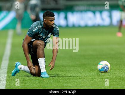 Sao Paulo, Brésil. 08 novembre 2024. Football Football - Championnat brésilien - Palmeiras v Grêmio - Allianz Parque Stadium. Le joueur de Grêmio pendant Banque D'Images