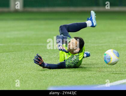 Sao Paulo, Brésil. 08 novembre 2024. Football Football - Championnat brésilien - Palmeiras v Grêmio - Allianz Parque Stadium. Marchesín du Grêmio Banque D'Images