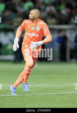 Sao Paulo, Brésil. 08 novembre 2024. Football Football - Championnat brésilien - Palmeiras v Grêmio - Allianz Parque Stadium. Le Weverton de Palmeiras Banque D'Images
