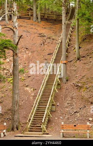 Jacob's Ladder, un escalier célèbre dans le parc forestier Victoria à Truro, Nouvelle-Écosse, Canada Banque D'Images