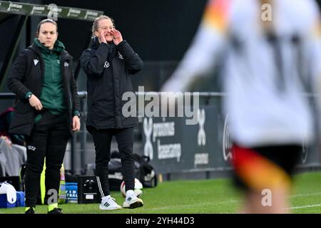 Tubize, Belgique. 09 novembre 2024. L'entraîneuse-chef allemande Melanie Behringer photographiée lors d'un match de football entre les équipes nationales féminines de moins de 17 ans d'Allemagne et de Belgique lors de la compétition féminine des moins de 17 ans de l'UEFA ronde 1 journée 3 dans le groupe A2 le samedi 9 novembre 2024 à Tubize, Belgique . Crédit : Sportpix/Alamy Live News Banque D'Images