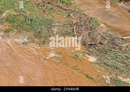 Une berge avec de la boue et des débris après une inondation, montrant les conséquences des pluies intenses sur le paysage. Banque D'Images