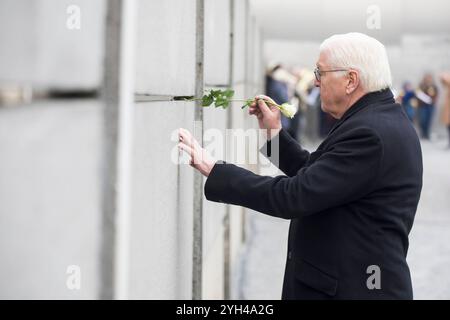 35 Jahre Mauerfall, Zentrale Gedenkveranstaltung an der Gedenkstätte Berliner Mauer, Berlin, 09.11.2024 Frank-Walter Steinmeier Bundespräsident der Bundesrepublik Deutschland steckt eine Rose in die Mauer BEI der zentralen Gedenkveranstaltung an der Gedenkstätte Berliner Mauer zum 35-jährigen Jubiläum des Mauerfalls in Berlin, 09.11.2024 Berlin Innenstadt *** 35e anniversaire de la chute du mur de Berlin, événement commémoratif central au Mémorial de Berlin, Berlin 09 11 2024 Frank Walter Steinmeier Président fédéral de la République fédérale d'Allemagne colle une rose dans le mur au c Banque D'Images