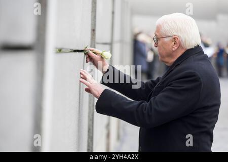 35 Jahre Mauerfall, Zentrale Gedenkveranstaltung an der Gedenkstätte Berliner Mauer, Berlin, 09.11.2024 Frank-Walter Steinmeier Bundespräsident der Bundesrepublik Deutschland steckt eine Rose in die Mauer BEI der zentralen Gedenkveranstaltung an der Gedenkstätte Berliner Mauer zum 35-jährigen Jubiläum des Mauerfalls in Berlin, 09.11.2024 Berlin Innenstadt *** 35e anniversaire de la chute du mur de Berlin, événement commémoratif central au Mémorial de Berlin, Berlin 09 11 2024 Frank Walter Steinmeier Président fédéral de la République fédérale d'Allemagne colle une rose dans le mur au c Banque D'Images