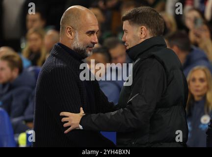 Brighton et Hove, Royaume-Uni. 9 novembre 2024. Pep Guardiola, entraîneur-chef de Manchester City et Fabian Hurzeler, entraîneur de Brighton et Hove Albion se serrent la main lors du match de premier League à l'AMEX Stadium, Brighton et Hove. Le crédit photo devrait se lire : Paul Terry/Sportimage crédit : Sportimage Ltd/Alamy Live News Banque D'Images