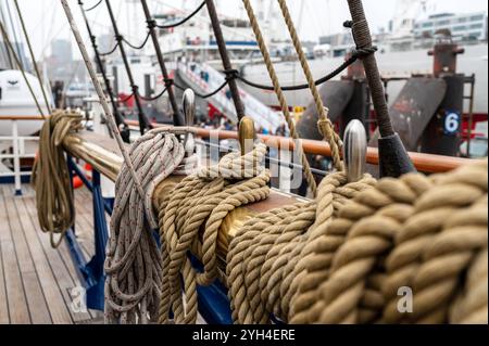 Deutschland, Hamburg 09.11.2024 : Die Gorch Fock 2 der deutschen Marine machte nach ihrem Werftbesuch in der Hamburger Norderwerft zum Open Ship an der Überseebrücke fest. Vom 9,11. bis 10.11.2024 konnten interessierte Gäste das Segelschulschiff der Bundesmarine besichtigen. Open Ship Gorch Fock 2 *** Allemagne, Hambourg 09 11 2024 L'allemand Navys Gorch Fock 2 amarré au Überseebrücke après sa visite du chantier naval Hamburgs Norderwerft du 9 11 au 10 11 2024, les invités intéressés ont pu visiter le navire allemand Navys Open Ship Gorch Fock 2 Banque D'Images