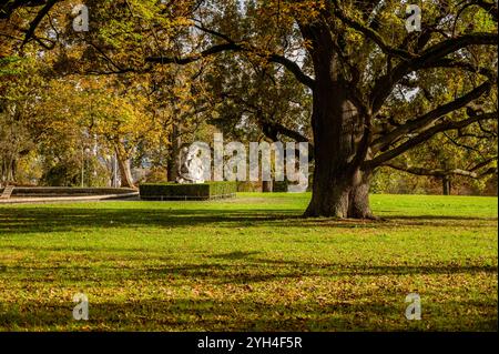 Le parc Rosenstein en automne Banque D'Images