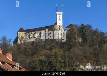 Le Château de Ljubljana, Slovénie Banque D'Images