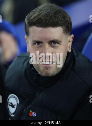 Brighton et Hove, Royaume-Uni. 9 novembre 2024. Fabian Hurzeler, entraîneur de Brighton et Hove Albion lors du match de premier League à l'AMEX Stadium, Brighton et Hove. Le crédit photo devrait se lire : Paul Terry/Sportimage crédit : Sportimage Ltd/Alamy Live News Banque D'Images