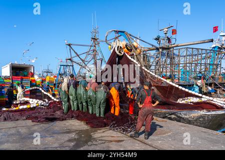 Pêcheurs tirant des filets de pêche d'un bateau de pêche au port maritime. Essaouira, Maroc, Afrique Banque D'Images
