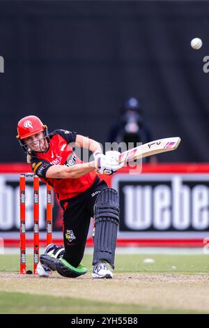 Melbourne, Australie, 9 novembre 2024. Nicole Faltum de Melbourne Renegades Bats lors du match T20 de Weber Women's Big Bash League (WBBL10) entre Melbourne Renegades Women et Melbourne Stars Women au CitiPower Centre Junction Oval le 9 novembre 2024 à Melbourne, Australie. Crédit : Santanu Banik/Speed Media/Alamy Live News Banque D'Images