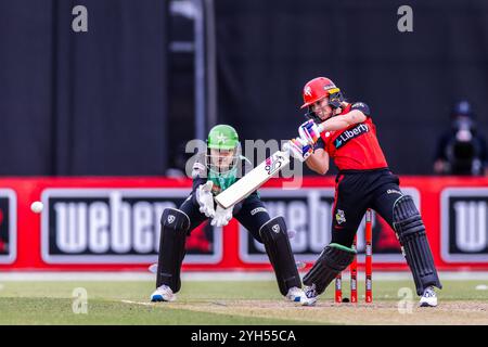 Melbourne, Australie, 9 novembre 2024. Nicole Faltum de Melbourne Renegades Bats lors du match T20 de Weber Women's Big Bash League (WBBL10) entre Melbourne Renegades Women et Melbourne Stars Women au CitiPower Centre Junction Oval le 9 novembre 2024 à Melbourne, Australie. Crédit : Santanu Banik/Speed Media/Alamy Live News Banque D'Images